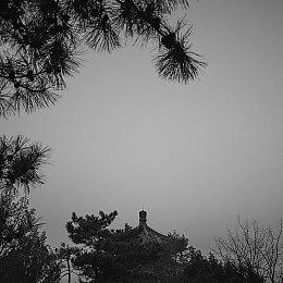 “喜加一”周报（8.15-8.21）：去开罗整点薯条